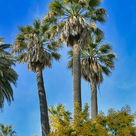 بيت شباب Santa Maria *